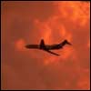 Crear Lazos en el De Gaulle